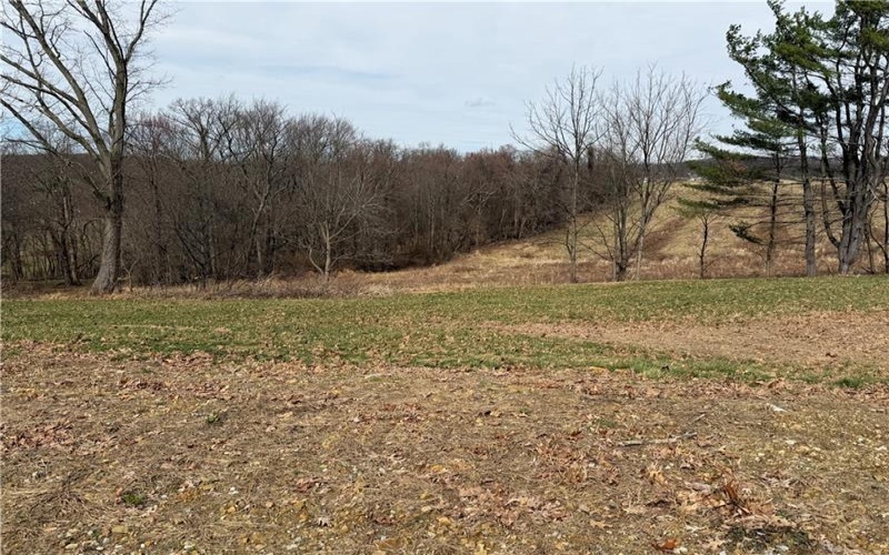 410 Elderberry Lane, Apollo, 15613, ,Farm-acreage-lot,For Sale,none,Elderberry Lane,1742914