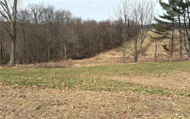 410 Elderberry Lane, Apollo, 15613, ,Farm-acreage-lot,For Sale,none,Elderberry Lane,1742914