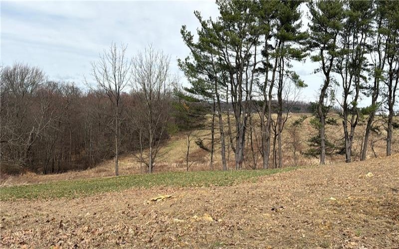 410 Elderberry Lane, Apollo, 15613, ,Farm-acreage-lot,For Sale,none,Elderberry Lane,1742914