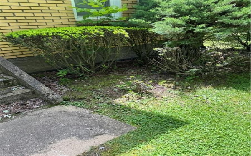 600 Edgewood, Apollo, 15613, 3 Bedrooms Bedrooms, 8 Rooms Rooms,1.2 BathroomsBathrooms,Residential,For Sale,Edgewood,1759078