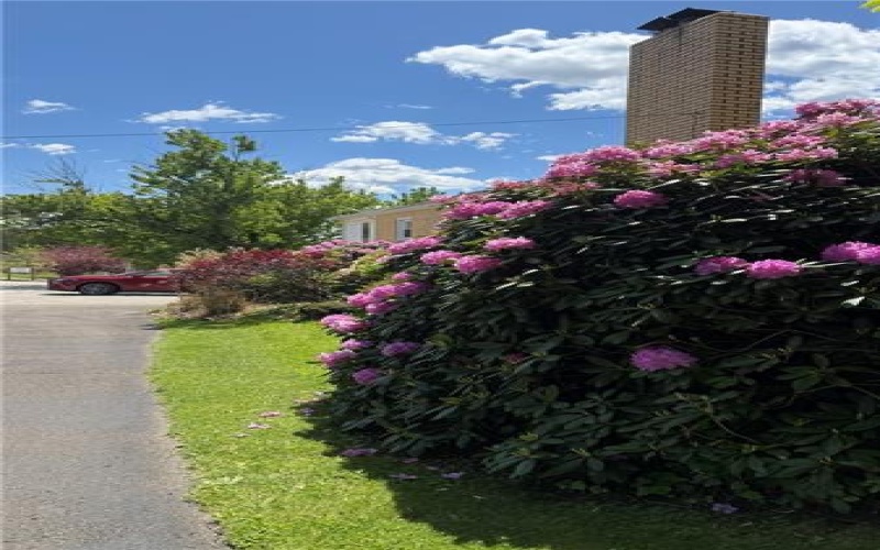 600 Edgewood, Apollo, 15613, 3 Bedrooms Bedrooms, 8 Rooms Rooms,1.2 BathroomsBathrooms,Residential,For Sale,Edgewood,1759078
