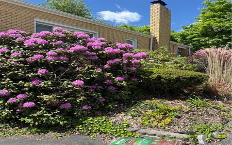 600 Edgewood, Apollo, 15613, 3 Bedrooms Bedrooms, 8 Rooms Rooms,1.2 BathroomsBathrooms,Residential,For Sale,Edgewood,1759078