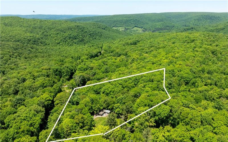120 New Beaver Creek Rd, Markleysburg, 15459, 2 Bedrooms Bedrooms, ,1.1 BathroomsBathrooms,Residential,For Sale,New Beaver Creek Rd,1759161