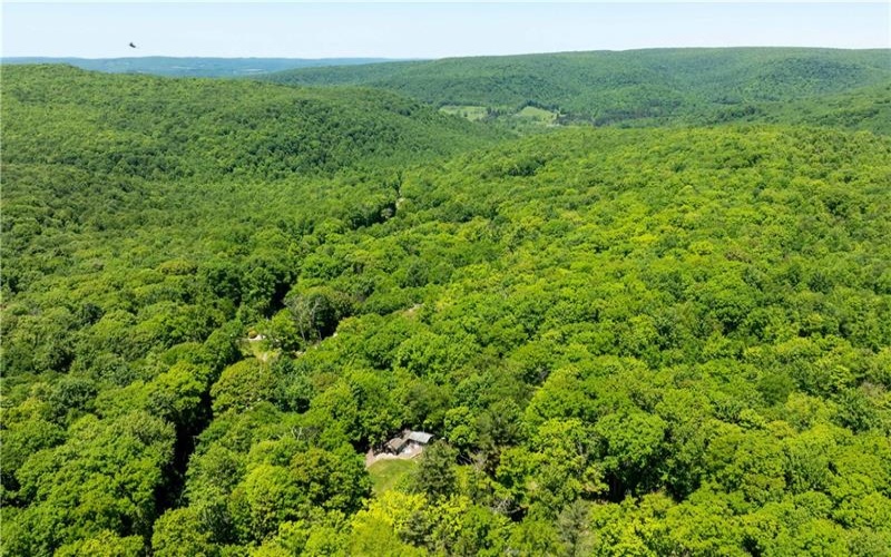 120 New Beaver Creek Rd, Markleysburg, 15459, 2 Bedrooms Bedrooms, ,1.1 BathroomsBathrooms,Residential,For Sale,New Beaver Creek Rd,1759161