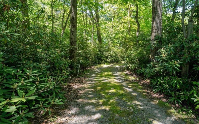 120 New Beaver Creek Rd, Markleysburg, 15459, 2 Bedrooms Bedrooms, ,1.1 BathroomsBathrooms,Residential,For Sale,New Beaver Creek Rd,1759161