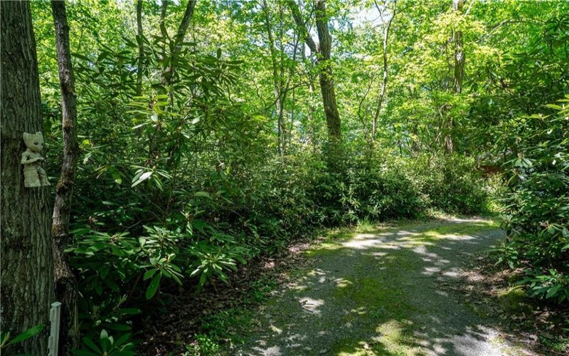 120 New Beaver Creek Rd, Markleysburg, 15459, 2 Bedrooms Bedrooms, ,1.1 BathroomsBathrooms,Residential,For Sale,New Beaver Creek Rd,1759161