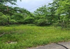 7335 Ringertown Rd, Export, 15632, ,Farm-acreage-lot,For Sale,Ringertown Rd,1759175 7335 Ringertown Rd, Export, 15632, ,Farm-acreage-lot,For Sale,Ringertown Rd,1759175