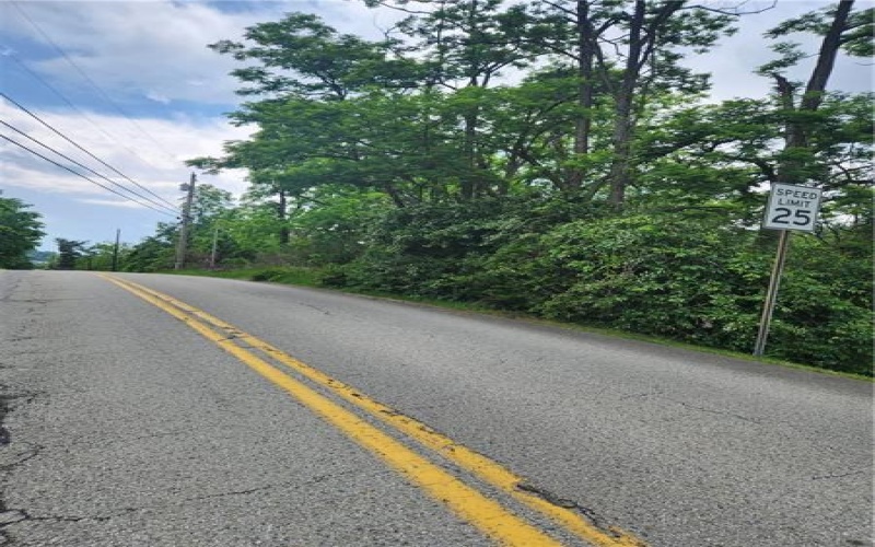 7335 Ringertown Rd, Export, 15632, ,Farm-acreage-lot,For Sale,Ringertown Rd,1759175