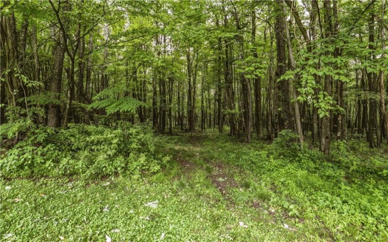 3210 State Route 31, Acme, 15610, 3 Bedrooms Bedrooms, ,2 BathroomsBathrooms,Residential,For Sale,State Route 31,1759398