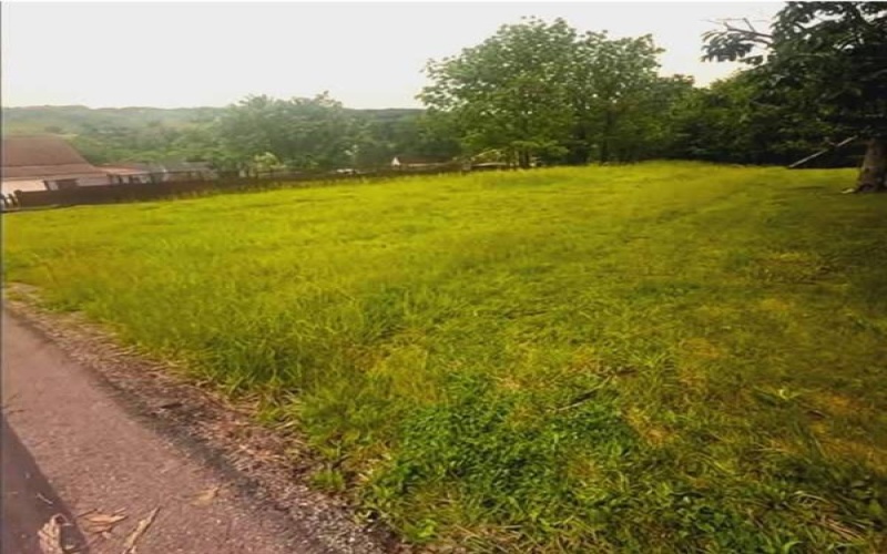 235 Sprowls Ave, Houston, 15342, ,Farm-acreage-lot,For Sale,Sprowls Ave,1755711