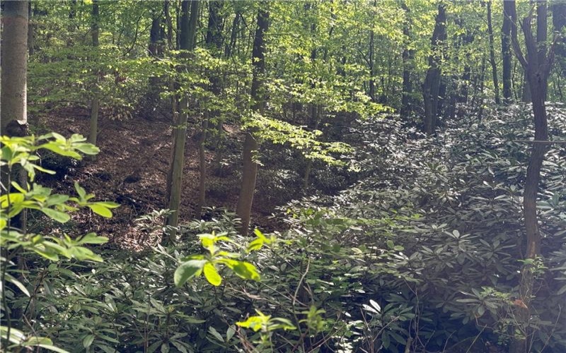 Lot 1C Cottonwood Rd, Acme, 15610, ,Farm-acreage-lot,For Sale,Cottonwood Rd,1759646