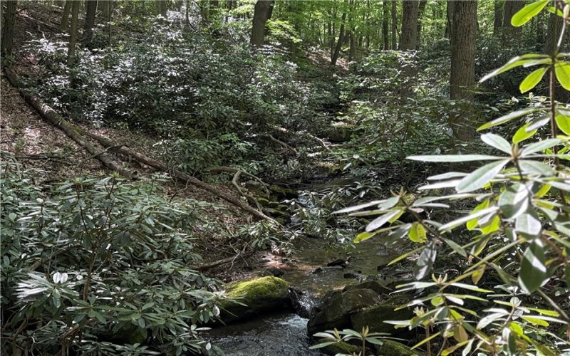 Lot 1C Cottonwood Rd, Acme, 15610, ,Farm-acreage-lot,For Sale,Cottonwood Rd,1759646