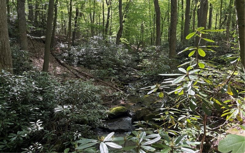 Lot 1C Cottonwood Rd, Acme, 15610, ,Farm-acreage-lot,For Sale,Cottonwood Rd,1759646