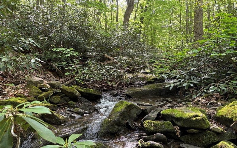 Lot 1C Cottonwood Rd, Acme, 15610, ,Farm-acreage-lot,For Sale,Cottonwood Rd,1759646
