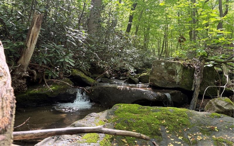 Lot 1C Cottonwood Rd, Acme, 15610, ,Farm-acreage-lot,For Sale,Cottonwood Rd,1759646