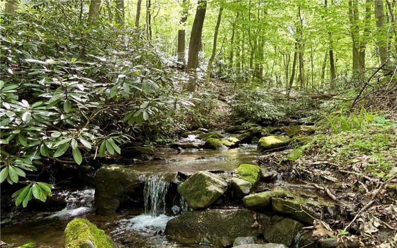Lot 1C Cottonwood Rd, Acme, 15610, ,Farm-acreage-lot,For Sale,Cottonwood Rd,1759646