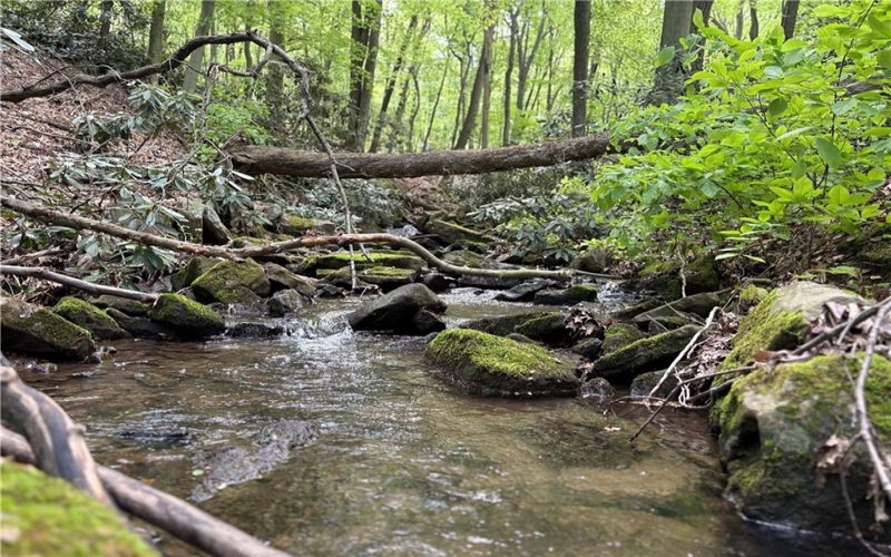 Lot 1C Cottonwood Rd, Acme, 15610, ,Farm-acreage-lot,For Sale,Cottonwood Rd,1759646