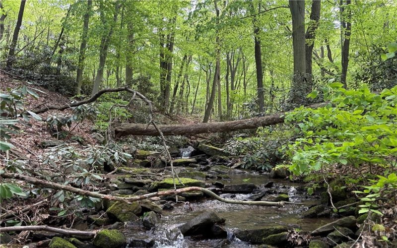 Lot 1C Cottonwood Rd, Acme, 15610, ,Farm-acreage-lot,For Sale,Cottonwood Rd,1759646