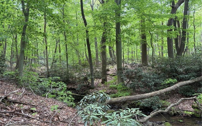 Lot 1C Cottonwood Rd, Acme, 15610, ,Farm-acreage-lot,For Sale,Cottonwood Rd,1759646