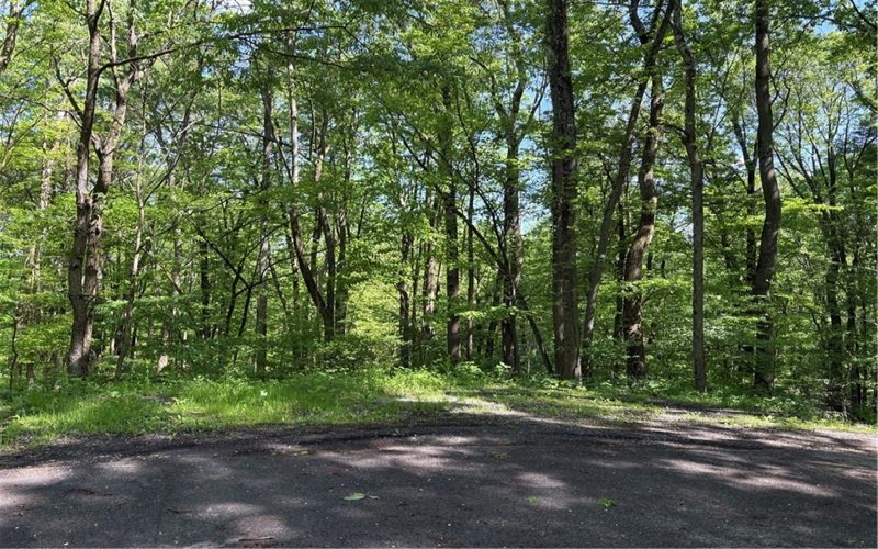 Lot 1C Cottonwood Rd, Acme, 15610, ,Farm-acreage-lot,For Sale,Cottonwood Rd,1759646