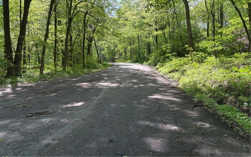 Lot 1C Cottonwood Rd, Acme, 15610, ,Farm-acreage-lot,For Sale,Cottonwood Rd,1759646