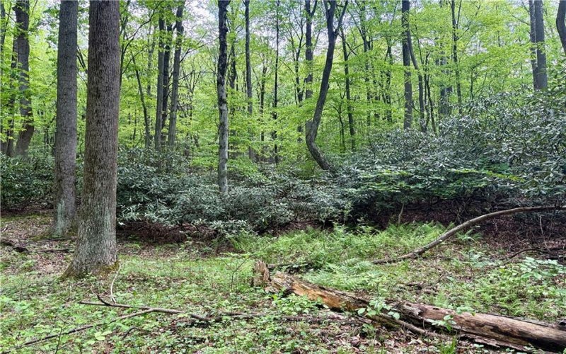 Lot 1C Cottonwood Rd, Acme, 15610, ,Farm-acreage-lot,For Sale,Cottonwood Rd,1759646