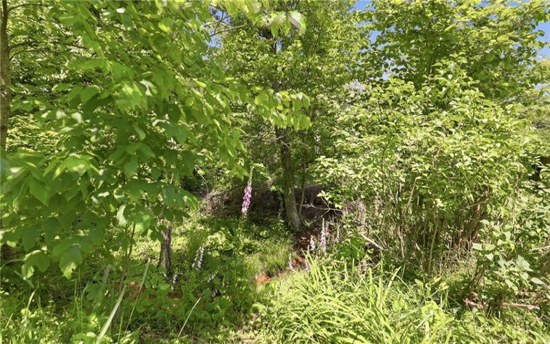 111 Center St, Stoystown, 15563, 3 Bedrooms Bedrooms, ,1.1 BathroomsBathrooms,Residential,For Sale,Center St,1759953