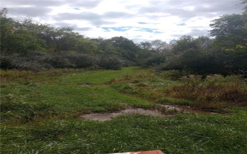 Lot 1 Hope Hollow Rd, Lake Lynn, 15451, ,Farm-acreage-lot,For Sale,Hope Hollow Rd,1730183