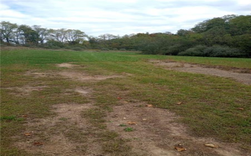 Lot 1 Hope Hollow Rd, Lake Lynn, 15451, ,Farm-acreage-lot,For Sale,Hope Hollow Rd,1730183