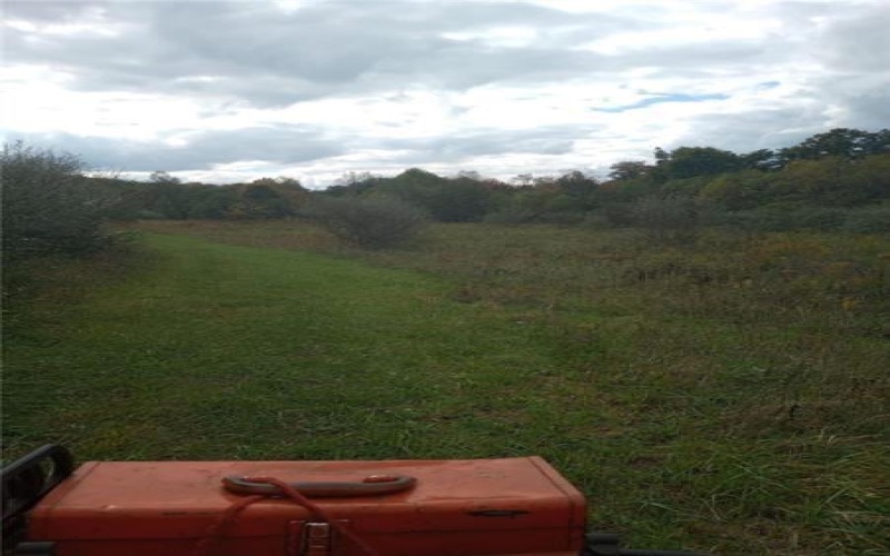 Lot 1 Hope Hollow Rd, Lake Lynn, 15451, ,Farm-acreage-lot,For Sale,Hope Hollow Rd,1730183