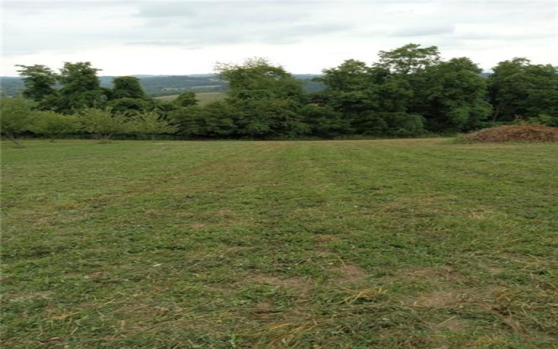 986 Old Pittsburgh Rd, Uniontown, 15401, ,Farm-acreage-lot,For Sale,Old Pittsburgh Rd,1760088
