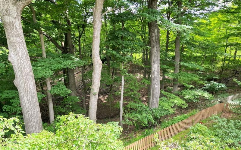 3008 WEDGEWOOD COURT, Murrysville, 15668, 4 Bedrooms Bedrooms, 14 Rooms Rooms,5.1 BathroomsBathrooms,Residential,For Sale,WEDGEWOOD COURT,1759938