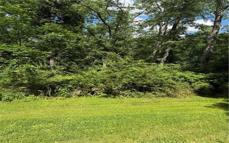 3 Bresock Ln, Washington, 15301, 1 Bedroom Bedrooms, ,1 BathroomBathrooms,Farm-acreage-lot,For Sale,Bresock Ln,1760292