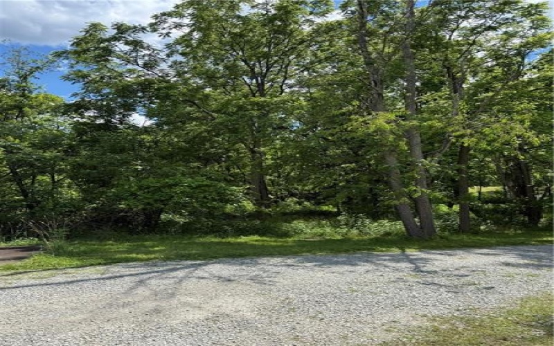 3 Bresock Ln, Washington, 15301, 1 Bedroom Bedrooms, ,1 BathroomBathrooms,Farm-acreage-lot,For Sale,Bresock Ln,1760292