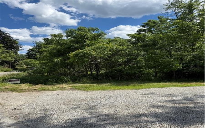 3 Bresock Ln, Washington, 15301, 1 Bedroom Bedrooms, ,1 BathroomBathrooms,Farm-acreage-lot,For Sale,Bresock Ln,1760292