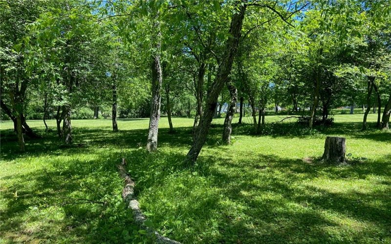 746 State Route 380, Murrysville, 15668, 4 Bedrooms Bedrooms, ,3 BathroomsBathrooms,Farm-acreage-lot,For Sale,House, Garage, Office, Shed,State Route 380,1759353