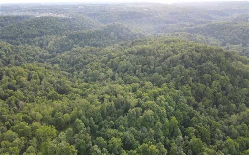 0 Fallen Timber Rd, Avella, 15312, ,Farm-acreage-lot,For Sale,Fallen Timber Rd,1761040