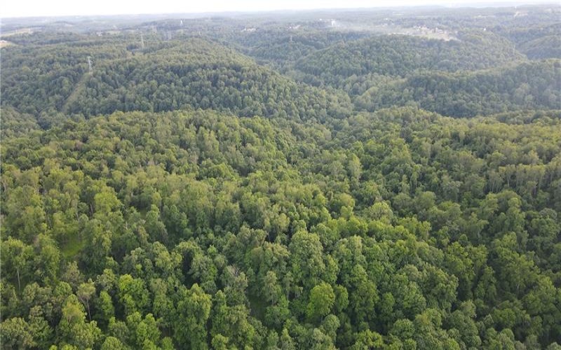 0 Fallen Timber Rd, Avella, 15312, ,Farm-acreage-lot,For Sale,Fallen Timber Rd,1761040