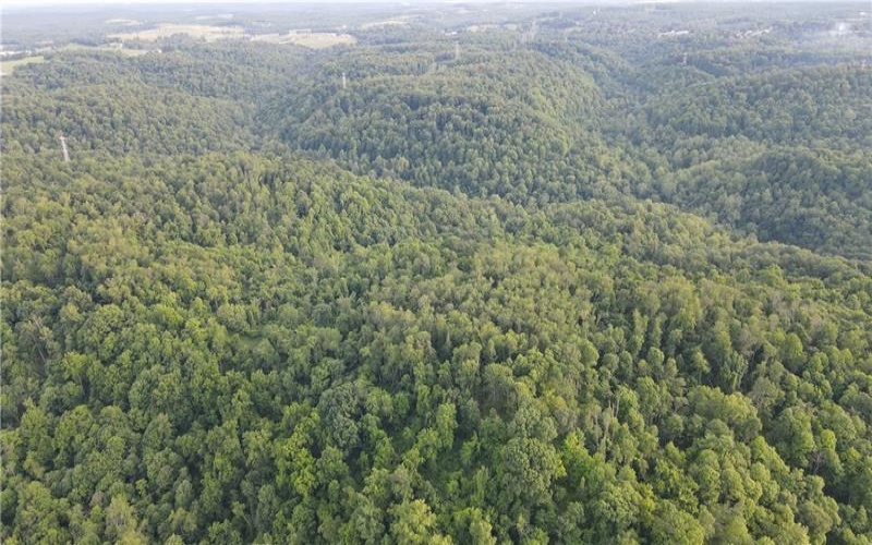 0 Fallen Timber Rd, Avella, 15312, ,Farm-acreage-lot,For Sale,Fallen Timber Rd,1761040