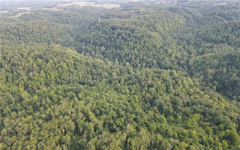 0 Fallen Timber Rd, Avella, 15312, ,Farm-acreage-lot,For Sale,Fallen Timber Rd,1761040