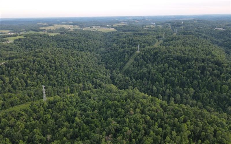 0 Fallen Timber Rd, Avella, 15312, ,Farm-acreage-lot,For Sale,Fallen Timber Rd,1761040