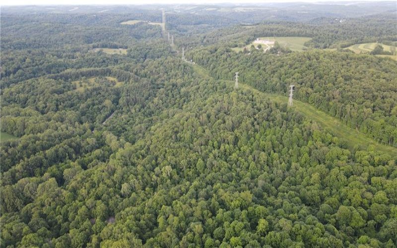 0 Fallen Timber Rd, Avella, 15312, ,Farm-acreage-lot,For Sale,Fallen Timber Rd,1761040