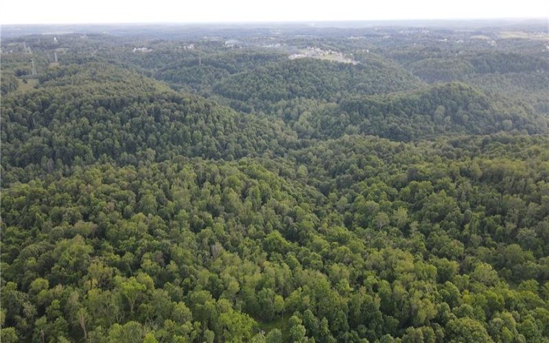 0 Fallen Timber Rd, Avella, 15312, ,Farm-acreage-lot,For Sale,Fallen Timber Rd,1761040