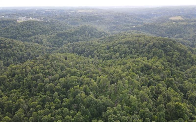 0 Fallen Timber Rd, Avella, 15312, ,Farm-acreage-lot,For Sale,Fallen Timber Rd,1761040