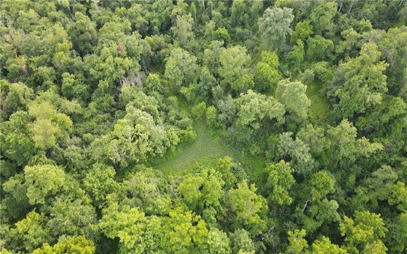 0 Fallen Timber Rd, Avella, 15312, ,Farm-acreage-lot,For Sale,Fallen Timber Rd,1761040