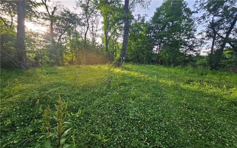 0 Fallen Timber Rd, Avella, 15312, ,Farm-acreage-lot,For Sale,Fallen Timber Rd,1761040