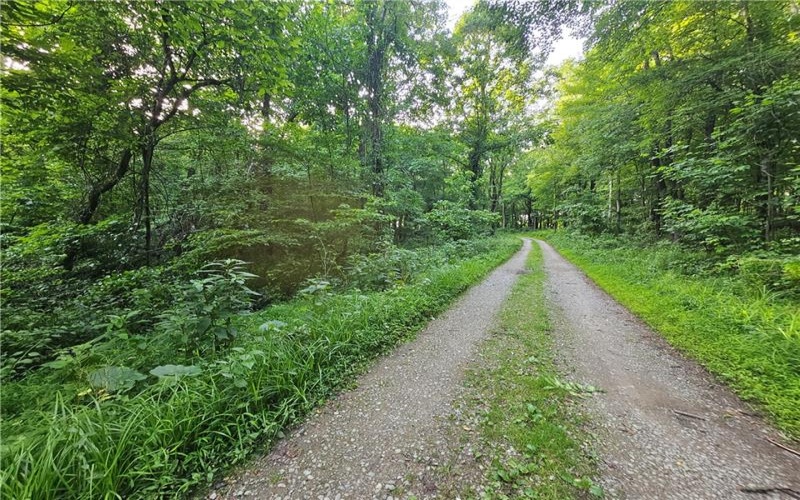 0 Fallen Timber Rd, Avella, 15312, ,Farm-acreage-lot,For Sale,Fallen Timber Rd,1761040