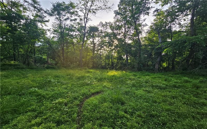 0 Fallen Timber Rd, Avella, 15312, ,Farm-acreage-lot,For Sale,Fallen Timber Rd,1761040
