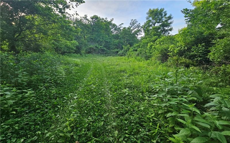 0 Fallen Timber Rd, Avella, 15312, ,Farm-acreage-lot,For Sale,Fallen Timber Rd,1761040