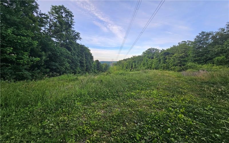 0 Fallen Timber Rd, Avella, 15312, ,Farm-acreage-lot,For Sale,Fallen Timber Rd,1761040
